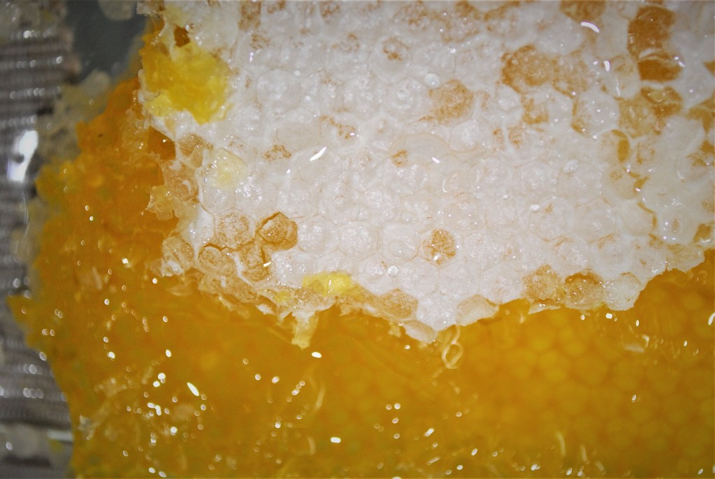 Honeycomb block close-up