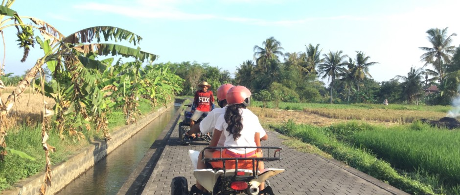 Quad ride in the rice fields of Bali-Ubud