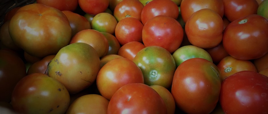 Heirloom tomato (Nattu Thakkali)
